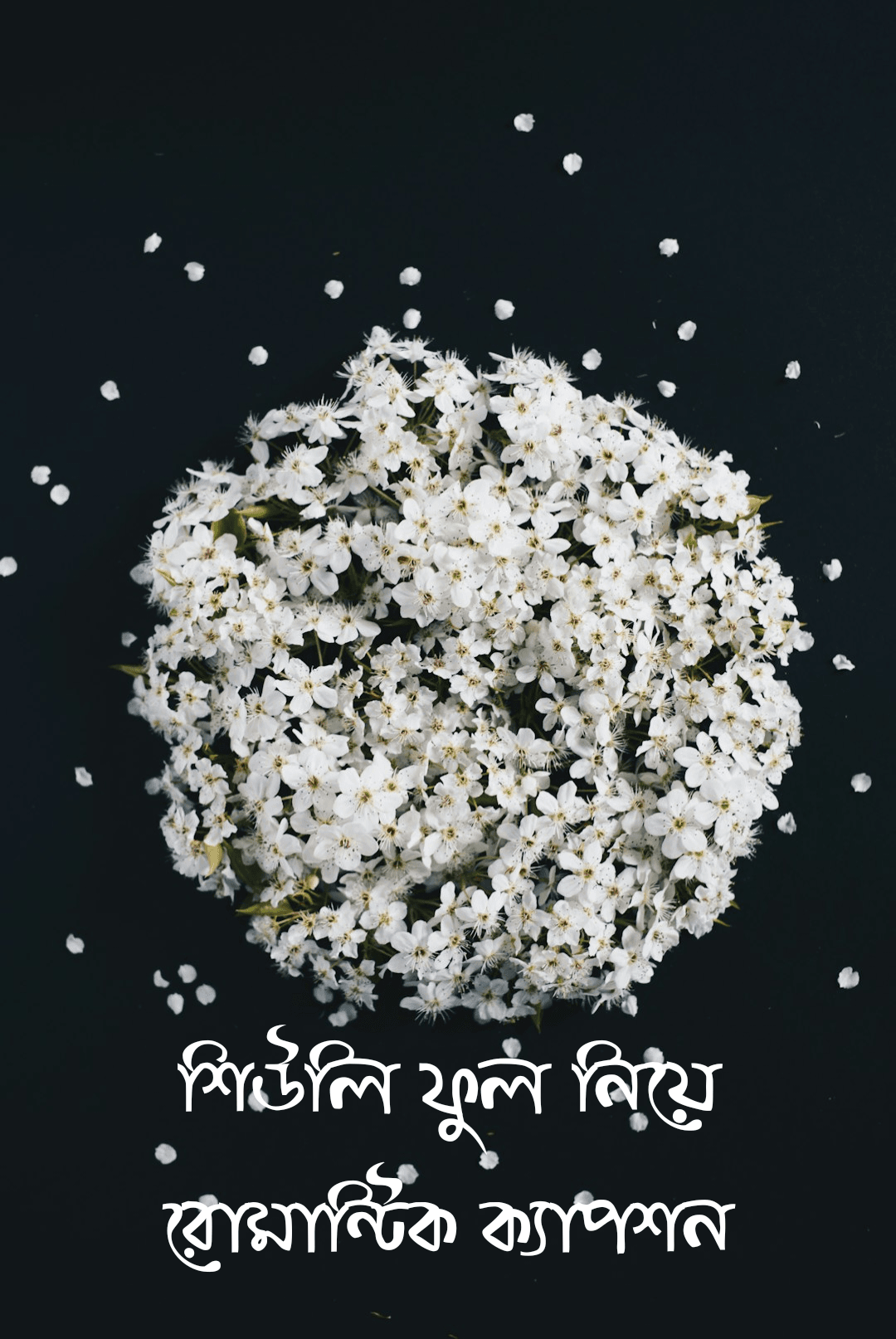 শিউলি ফুল নিয়ে রোমান্টিক ক্যাপশন, ফুল নিয়ে রোমান্টিক ক্যাপশন