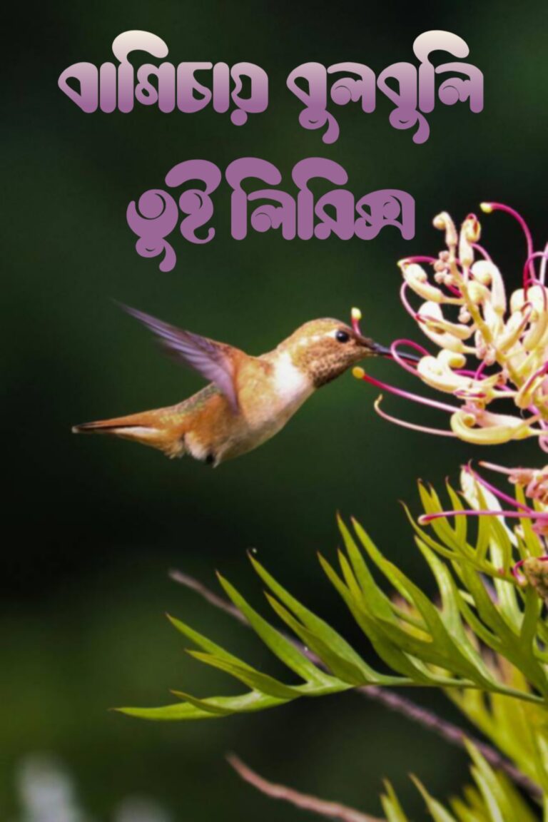 বাগিচায় বুলবুলি তুই লিরিক্স